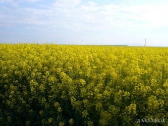 Podporíme producentov potravín, ktoré potrebujeme dostať na stôl