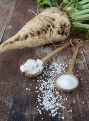 Zelenšia výroba cukru v Seredi