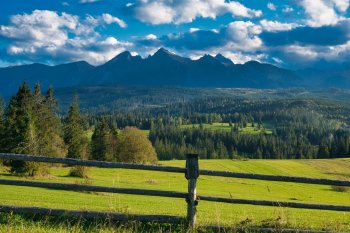 INESS: Poľnohospodárstvo a potravinárstvo vie prosperovať aj bez sebestačnosti