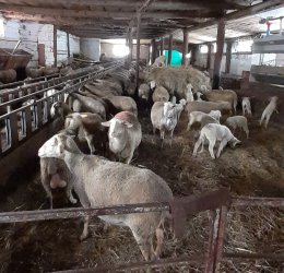 Mladí farmári potrebujú výraznejšiu podporu