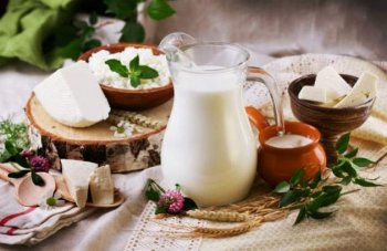 Vývoj ovčieho mliekarstva na Slovensku