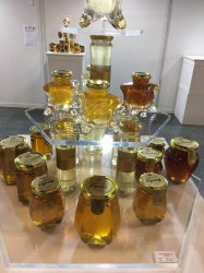 HISTORICKÝ ÚSPECH SLOVENSKÝCH VČELÁROV NA NAJPRESTÍŽNEJŠEJ SVETOVEJ VČELÁRSKEJ SÚŤAŽI