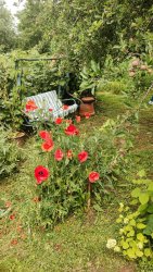 Národná komisia hodnotí prihlásené obce- Dedina roka 2023