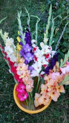 Blahoželáme k sviatku vidieckych žien