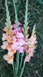 Nominujte šikovné ženy do 30.9.2024