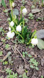     8.marec Medzinárodný deň žien